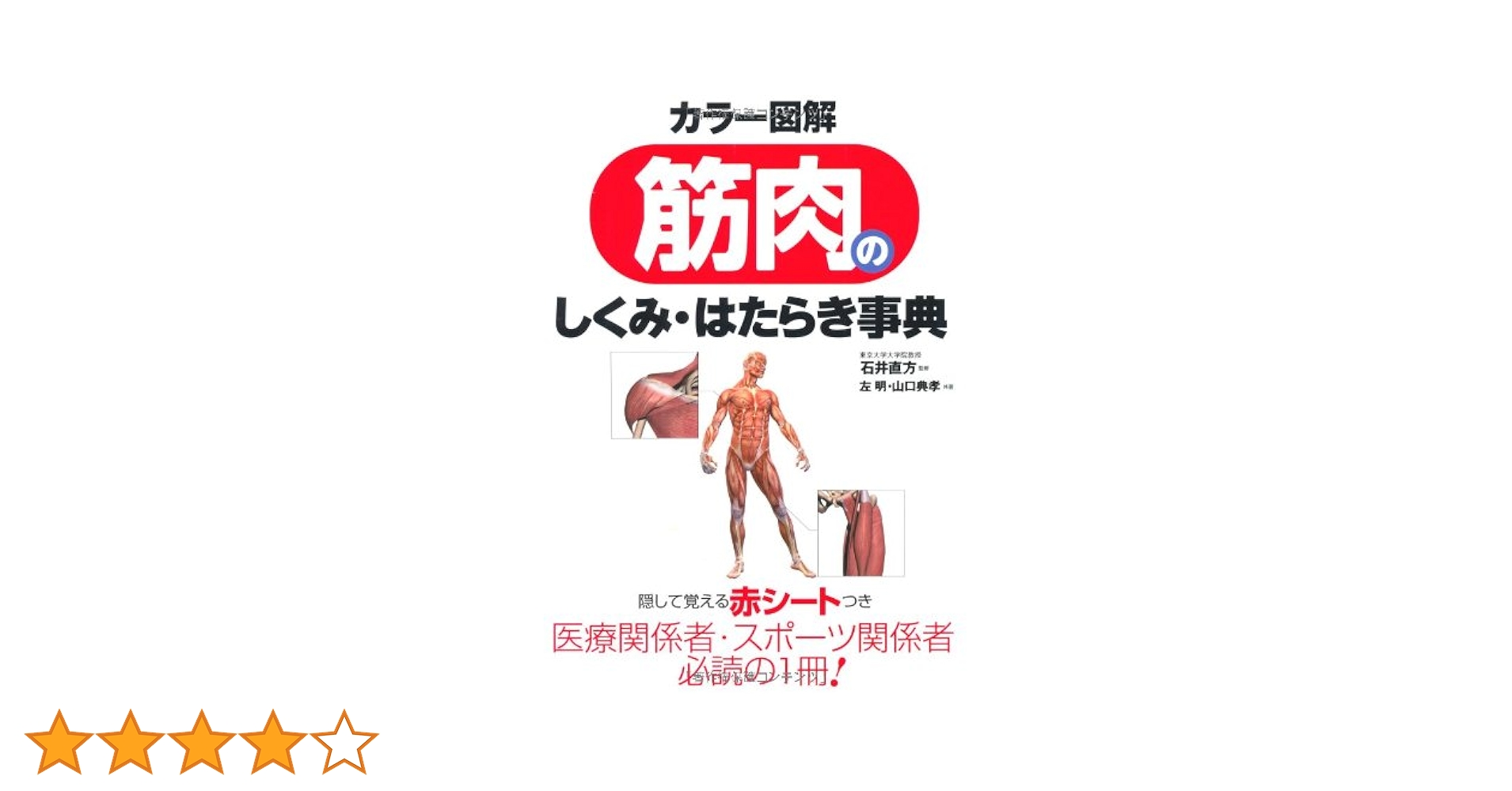カラー図解筋肉のしくみ・はたらき事典 51WfinbZuAL.jpg_BO30,255,255,